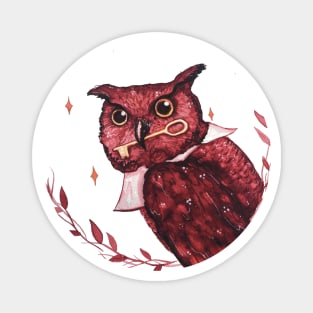 Mystery owl Magnet